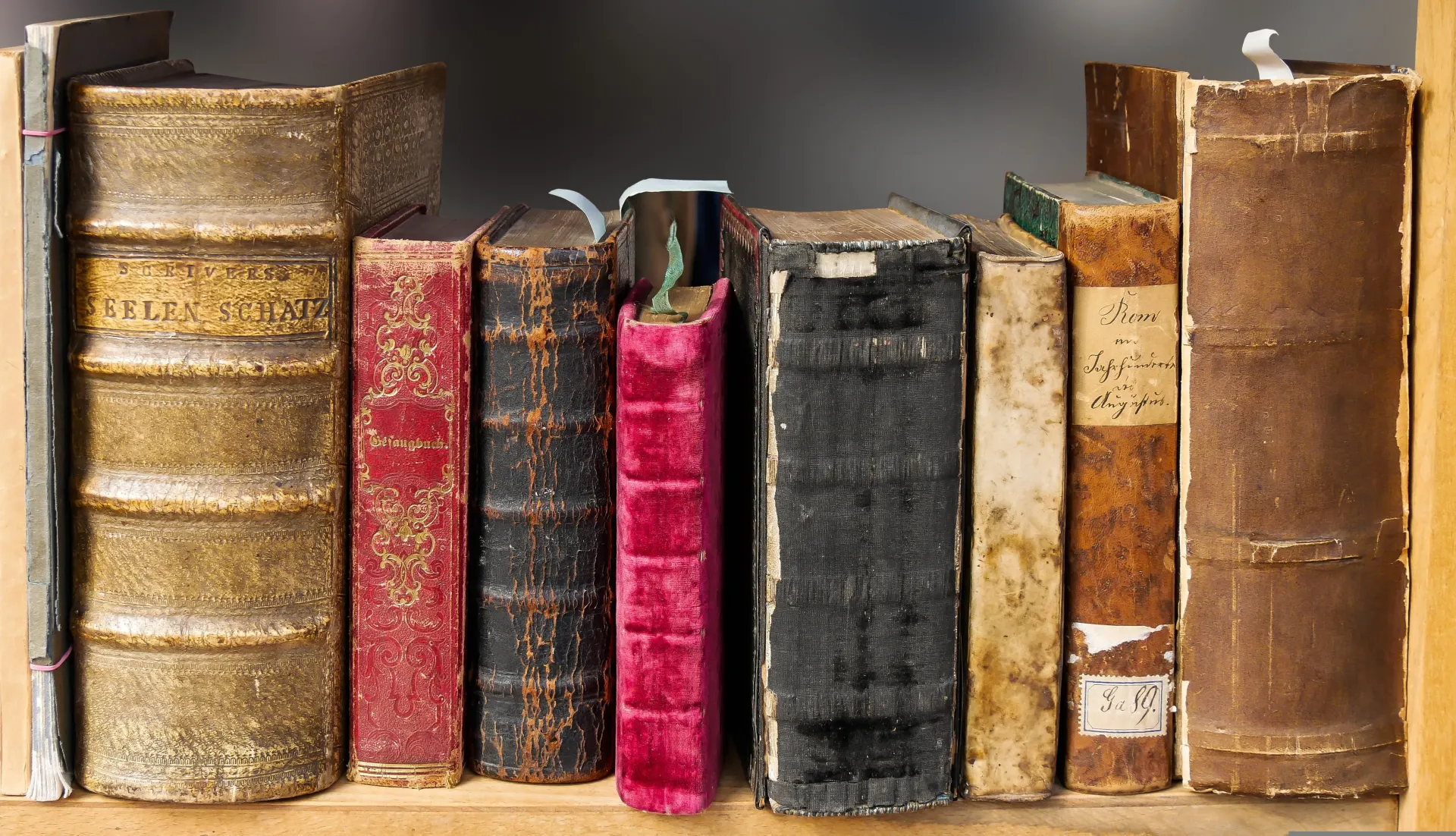 Fiction & Literature