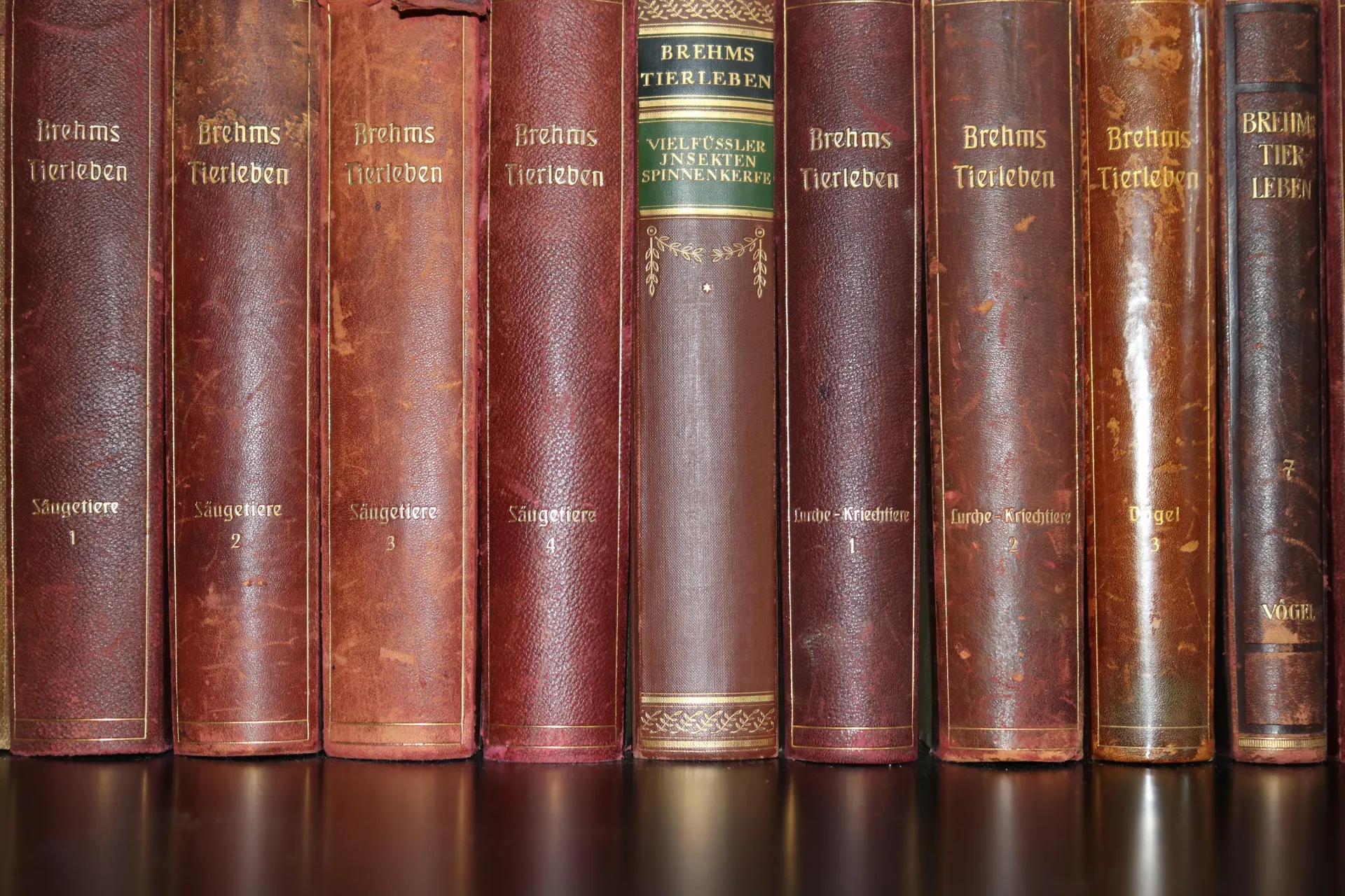 Non-Fiction & Biography